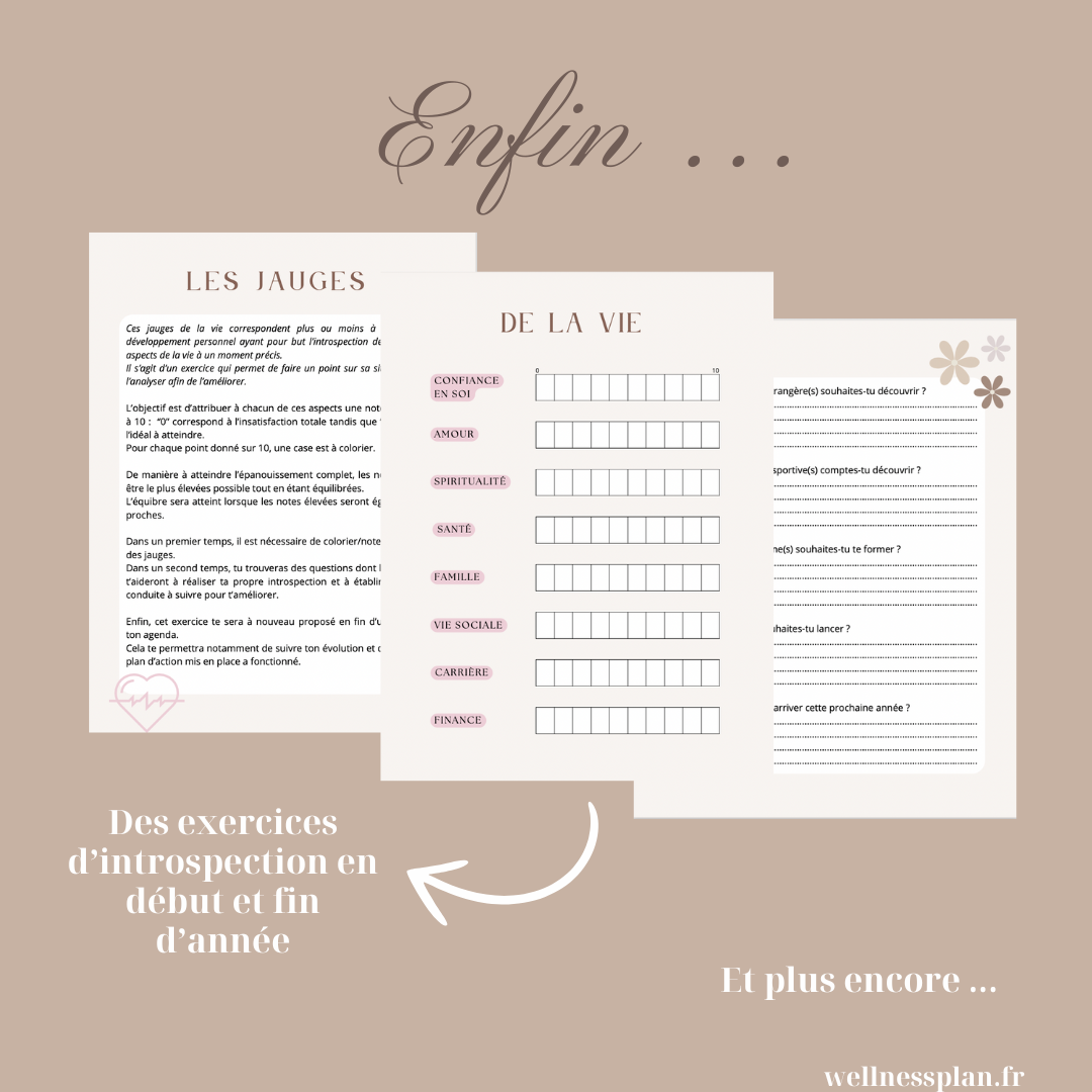 The classic planner